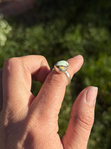 Simple Aloe Variscite Ring - size 6