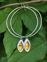 Load image into Gallery viewer, Marquis cut Mexican amber Hoops