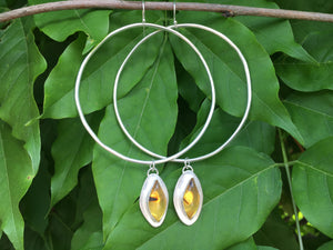 Marquis cut Mexican amber Hoops