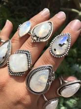 Load image into Gallery viewer, Rainbow Moonstone with Scorpion statement ring - size 7.5