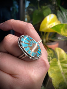 Turquoise Inlay Ammonite Statement Ring - size 9