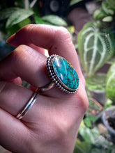 Load image into Gallery viewer, Beaded Border Hubei Turquiose Ring - size 9
