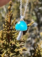 Load image into Gallery viewer, Campitos Turquoise Mushroom Necklace