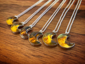 Mexican Amber Moon #1