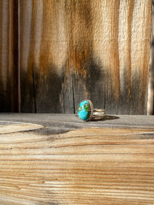 Sonoran Gold turquoise stacker ring set - size 5