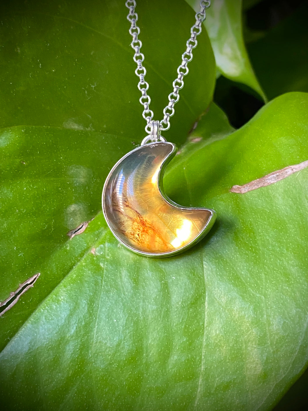 Mexican Amber Moon #5