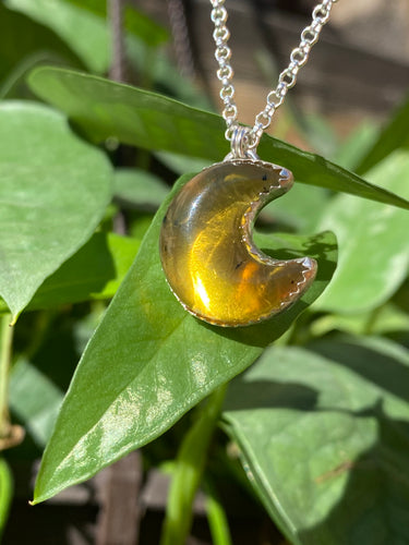 Mexican Amber Moon #1