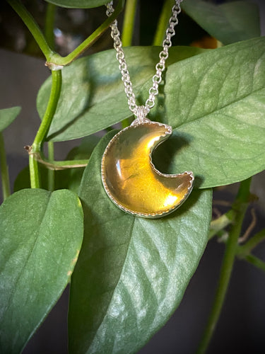 Mexican Amber Moon #2