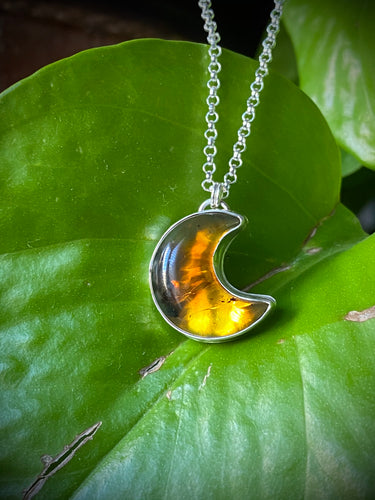 Mexican Amber Moon #4