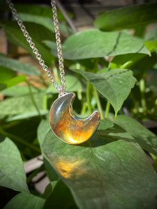 Mexican Amber Moon #6