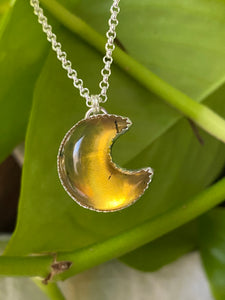 Mexican Amber Moon #1