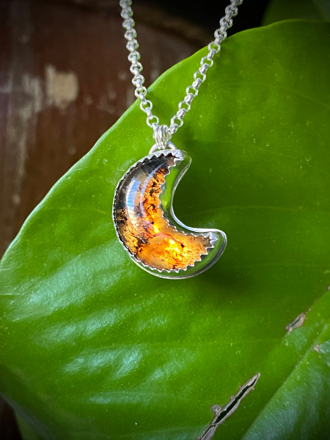 Mexican Amber Moon #3