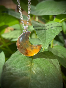 Mexican Amber Moon #5